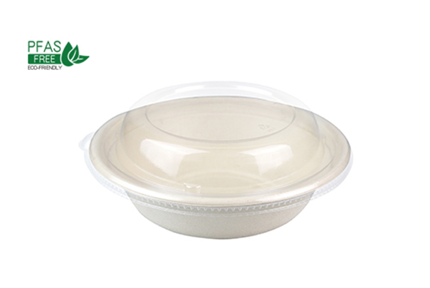 Different Types of Paper Bowl