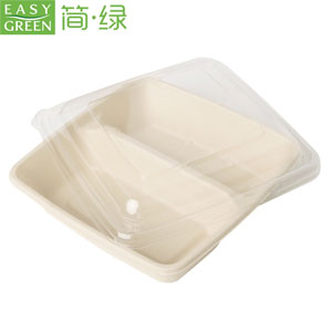 The Versatility of Bagasse Sugarcane Packaging in Schools