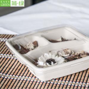 Sugarcane Bagasse Boxes: A Renewable Resource Transforming Office Supplies