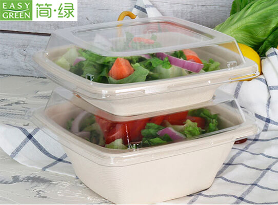 Wholesale 16oz Disposable Sugarcane Fresh Fruit Salad Container