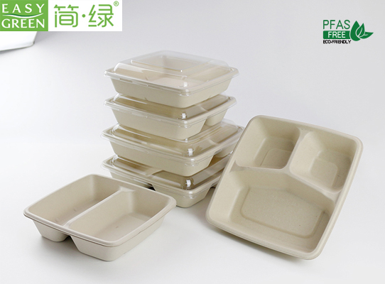 Disposable Compartment Containers