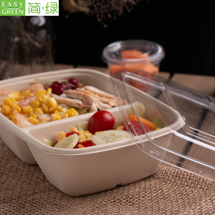 Bamboo Food Container – Future Friendly Packaging