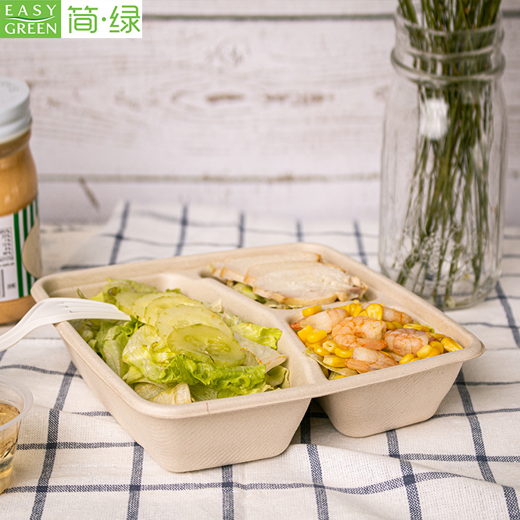 Wholesale Biodegradable Recycled Sugarcane Bagasse Lunch Box Food Cont –  Fastfoodpak