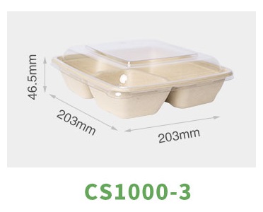 bamboo disposable lunch box