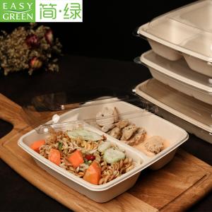 Bagasse Packaging Material in DIY Crafts: Unleash Your Creativity Sustainably