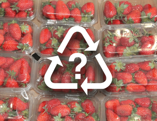 is-recycled-plastic-safe-for-food-packaging_01.jpg