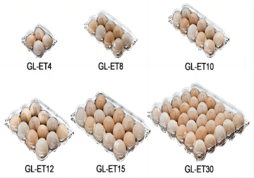 What is the Best Packaging for Eggs?