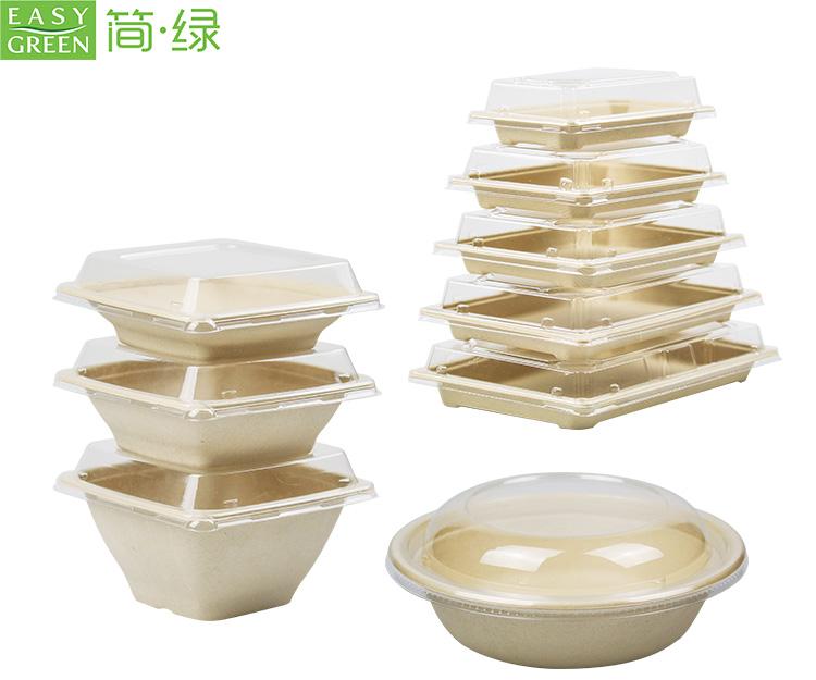 Bagasse_Food_Packing_1.jpg