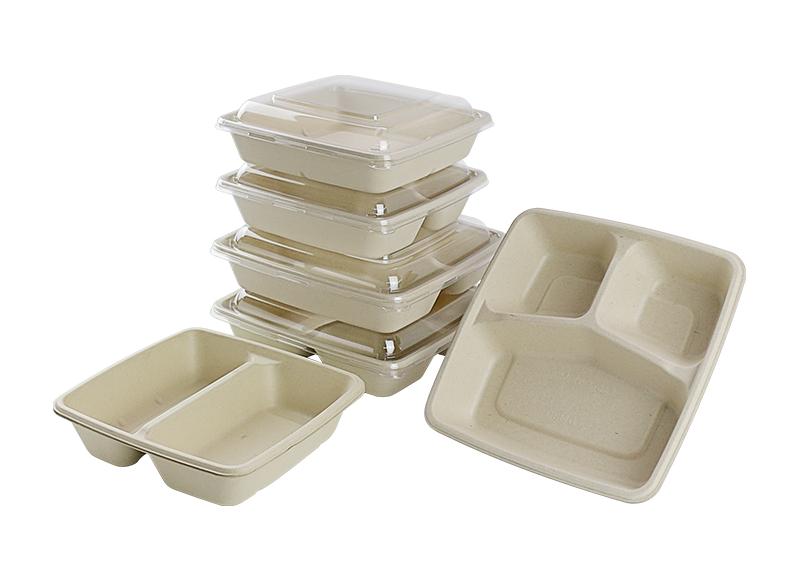 Bagasse_Food_Packing_2.jpg