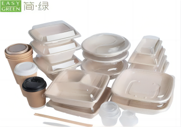 What’s The Advantages of Bagasse Food Packaging?