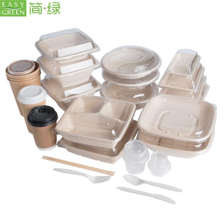 Bagasse_Food_Packaging.jpg