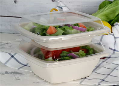 How to Choosing Eco-Friendly Disposable Food Bowls?