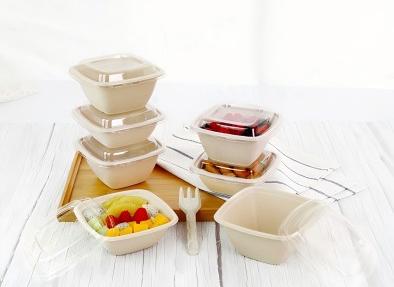 Easy Green Takeout Containers Wholesale: Eco-Friendly Solutions for Your Business