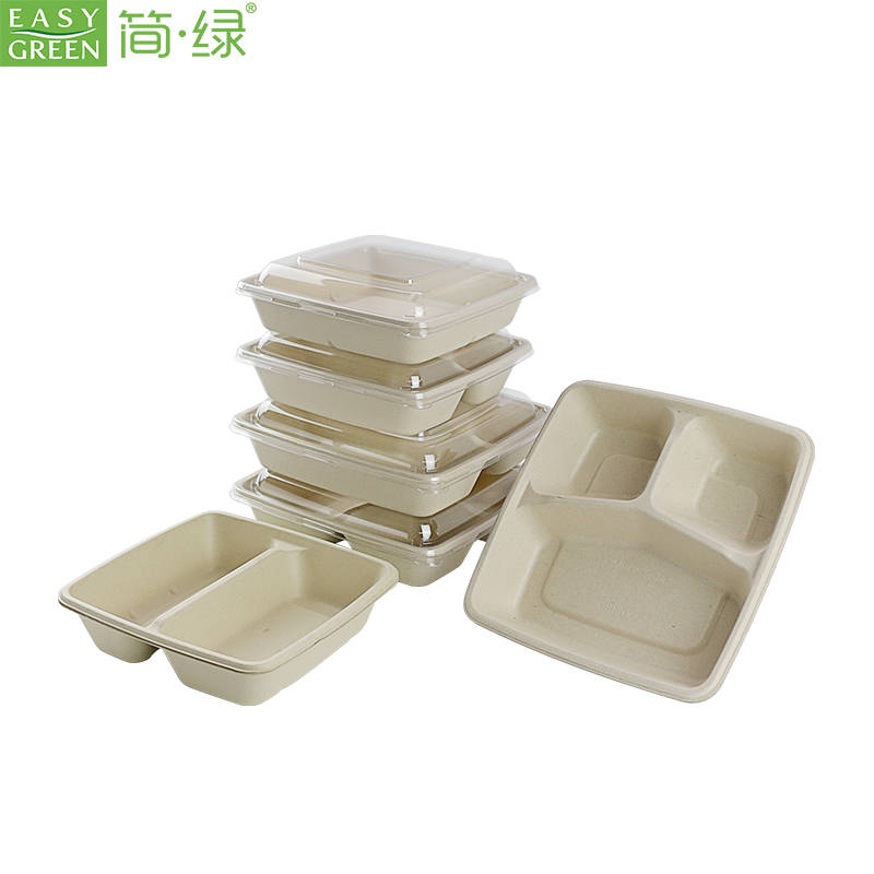 ES Series Square Disposable Bagasse Take Out Food Box